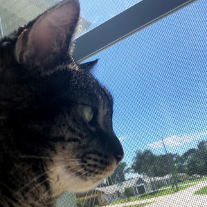 Meet your Posher, Nick